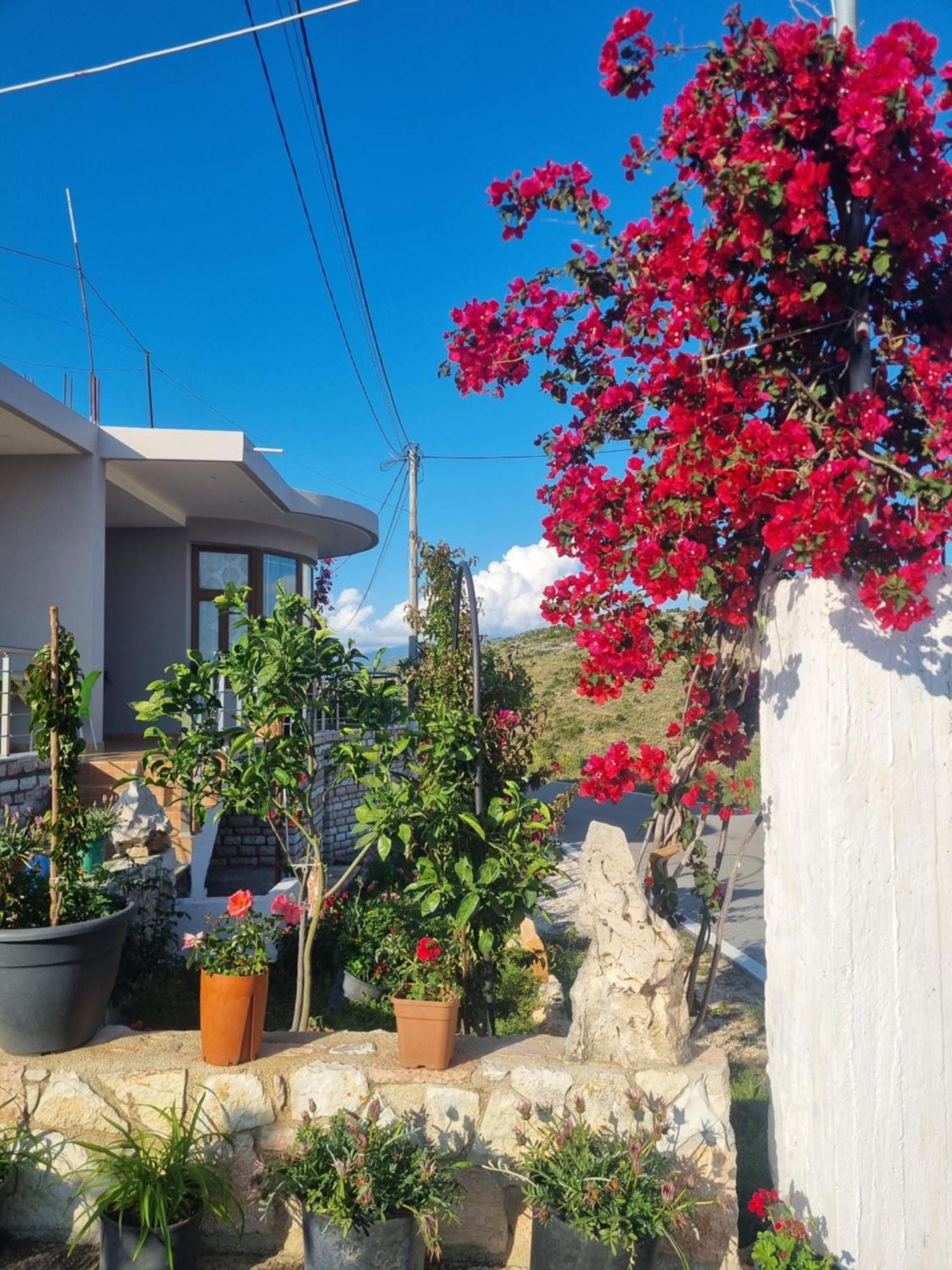 Apartment Besnik Brahimi Εξαμίλιο Εξωτερικό φωτογραφία